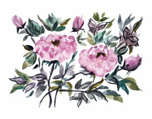 Flowers | Decorative Watercolor Peony Flowers Wall Mural Flowers Flowers