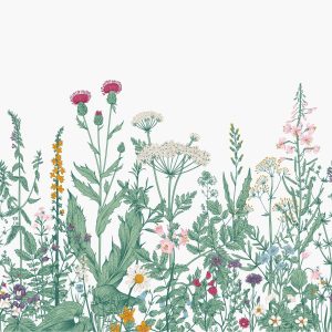 Flowers | Engraved Wildflower Border Wall Mural Flowers Flowers