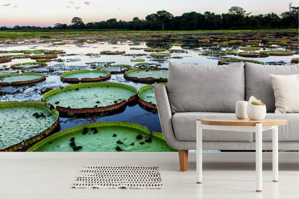 Flowers | Giant Lily Pads Wall Mural Flowers Flowers