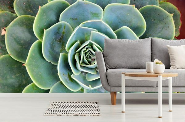 Flowers | Green Succulent Cactus Flower Wall Mural Flowers Flowers