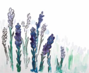 Flowers | Hand Painted Watercolor Lavender Wallpaper Mural Flowers Flowers