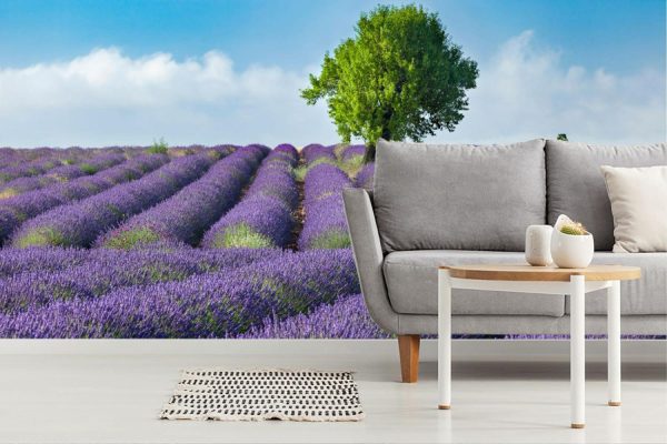 Flowers | Lone Tree In Field Of Lavender Wall Mural Flowers Flowers