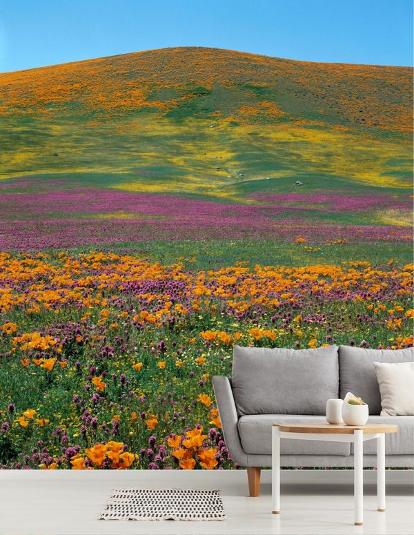 Flowers | Wildflower Splendor Mural Wallpaper Flowers Flowers