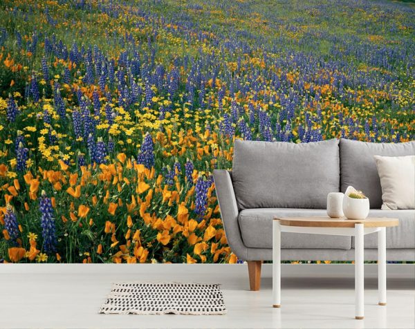 Flowers | Wildflowers Galore Mural Wallpaper Flowers Flowers