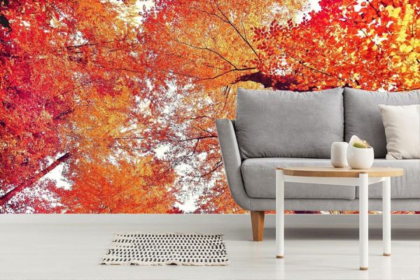 Forests | Autumn Forest Branches Mural Wallpaper Forests Forests