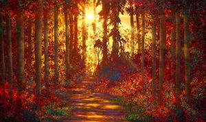 Forests | Autumn Forest Mural Wallpaper Forests Forests