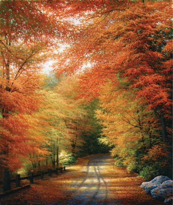 Forests | Autumn In New England Wall Mural Forests Forests