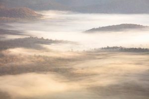 Forests | Autumn Mountain Mist Layers Wall Mural Forests Forests