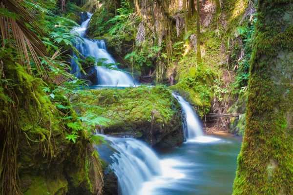 Forests | Beautiful Waterfall In Tropical Rainforest In Hawaii Wall Mural Forests Forests