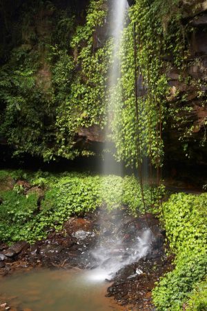 Forests | Crystal Falls Mural Wallpaper Forests Forests