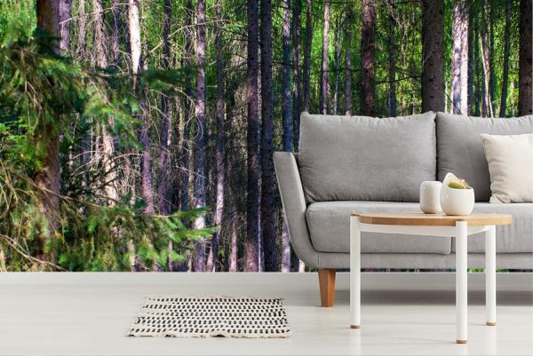 Forests | English Wood Wall Mural Forests Forests