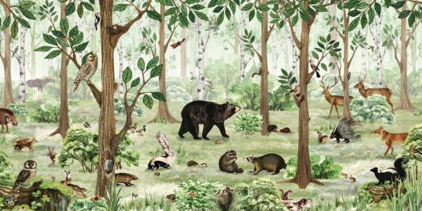 Forests | Forest Lookbook Mural Wallpaper Animals Animals