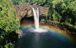 Forests | Hawaii Rainbow Falls Wall Mural Forests Forests