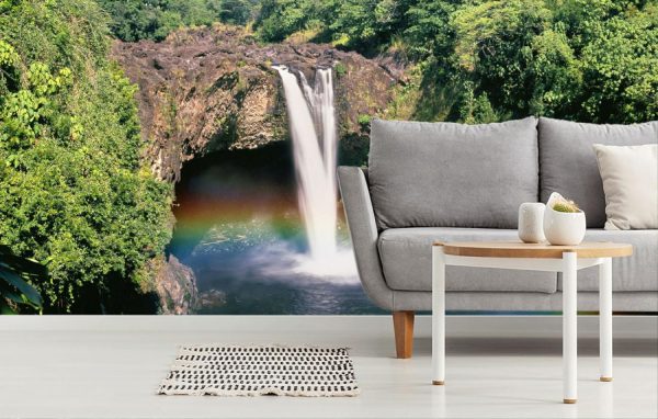 Forests | Hawaii Rainbow Falls Wall Mural Forests Forests