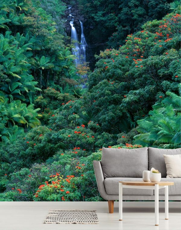 Forests | Hawaiian Tropics Wall Mural Forests Forests