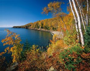 Forests | Lake Superior – Minnesota Wall Mural Forests Forests