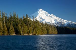 Forests | Mt Hood And Lost Lake Wall Mural Forests Forests