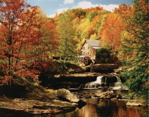 Forests | Old Grist Mill Wall Mural Forests Forests