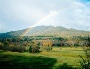 Forests | Rainbow Landscape Mural Wallpaper Forests Forests