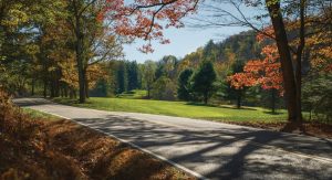 Forests | Sam Snead Highway Wall Mural Forests Forests