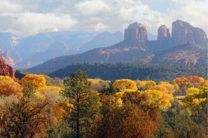 Forests | Sedona Foliage Wallpaper Mural Forests Forests