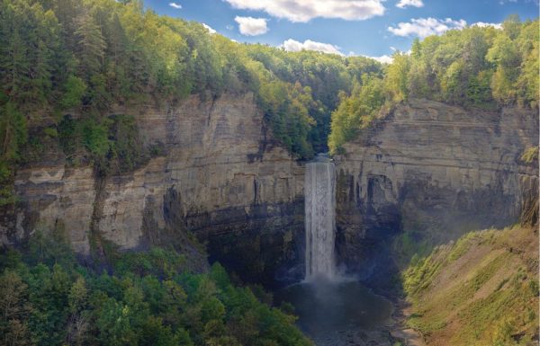 Forests | Taughannock Falls Wall Mural Forests Forests