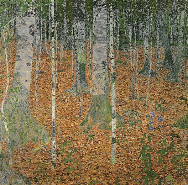 Forests | The Birch Wood Mural Wallpaper Fine Art Fine Art