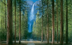 Forests | Yosemite Falls (Ellenshaw) Wall Mural Forests Forests