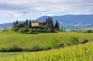 Italian | A Tuscan Home Wall Mural Italian Italian