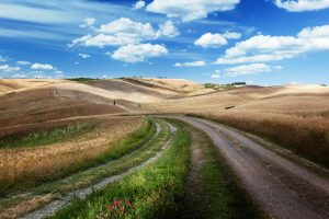 Italian | A Tuscan Road Wallpaper Mural Italian Italian