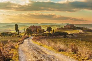 Italian | Abandoned Path Mural Wallpaper Italian Italian