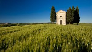 Italian | Church in the Fields Wallpaper Mural Italian Italian