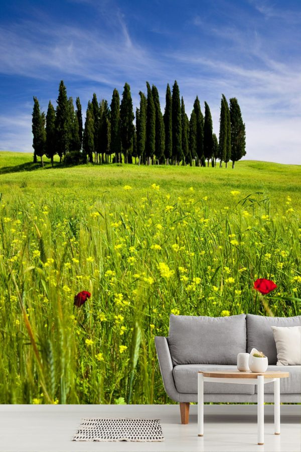 Italian | Cypress Trees Wallpaper Mural Italian Italian