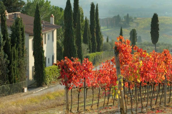 Italian | Farmhouse In Tuscan Scenery Wall Mural Italian Italian