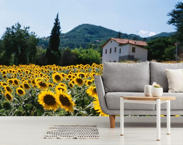 Italian | Field Of Sunflowers, Tuscany, Italy Mural Wallpaper Italian Italian