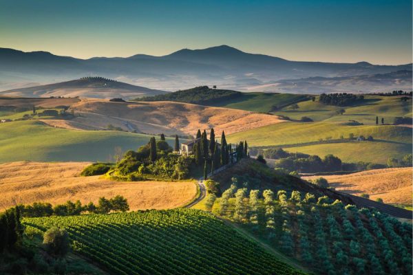 Italian | Golden Morning In Tuscany Wallpaper Mural Italian Italian