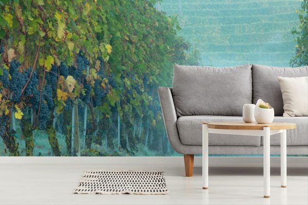 Italian | Misty Morning in the Vineyard Wallpaper Mural Italian Italian