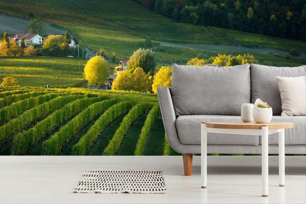 Italian | Piemonte Vineyard Mural Wallpaper Italian Italian