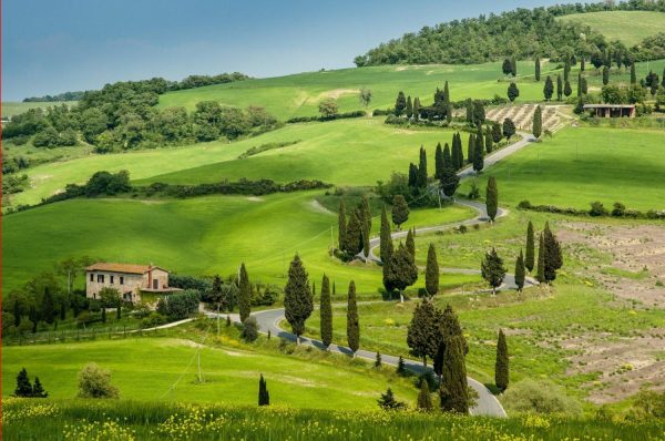 Italian | Road With Curves and Cypresses in Tuscany, Italy Wall Mural Italian Italian