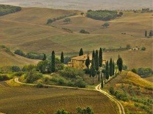 Italian | San Quirico Val D’ Orcia Valley, Tuscany Mural Wallpaper Italian Italian