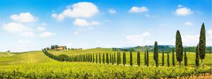 Italian | Scenic Tuscany Panorama Mural Wallpaper Italian Italian