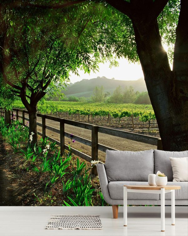 Italian | Spring In The Vineyard – Vertical Wallpaper Mural Italian Italian