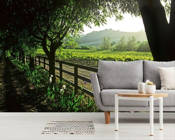 Italian | Springtime In The Vineyard Mural Wallpaper Italian Italian