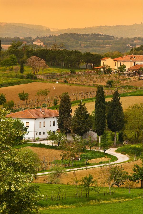 Italian | Tiny Tuscan Town Mural Wallpaper Italian Italian