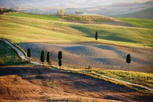 Italian | Tuscan Countryside Italian Landscape Wallpaper Mural Italian Italian