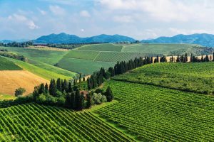 Italian | Tuscan Farmhouse in Italy Wall Mural Italian Italian