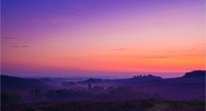 Italian | Tuscan Hills Magic Hour Wallpaper Mural Italian Italian