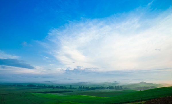 Italian | Tuscany Valley Meadow Wall Mural Italian Italian