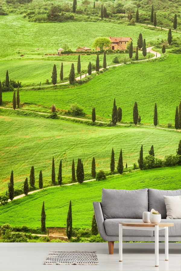 Italian | Winding Tuscan Road Wallpaper Mural Italian Italian