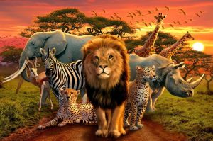 Kids Rooms | African Beasts Wall Mural Animals Animals